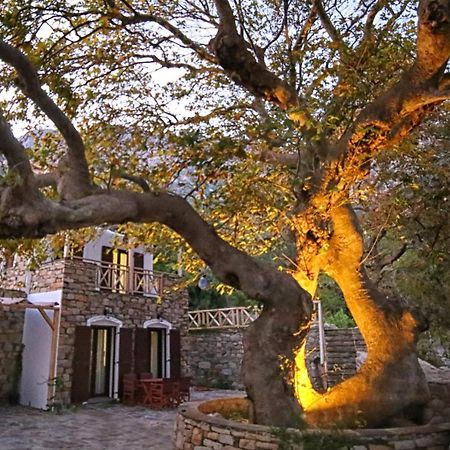 Ικαριων Γη Villa Manganitis Ngoại thất bức ảnh