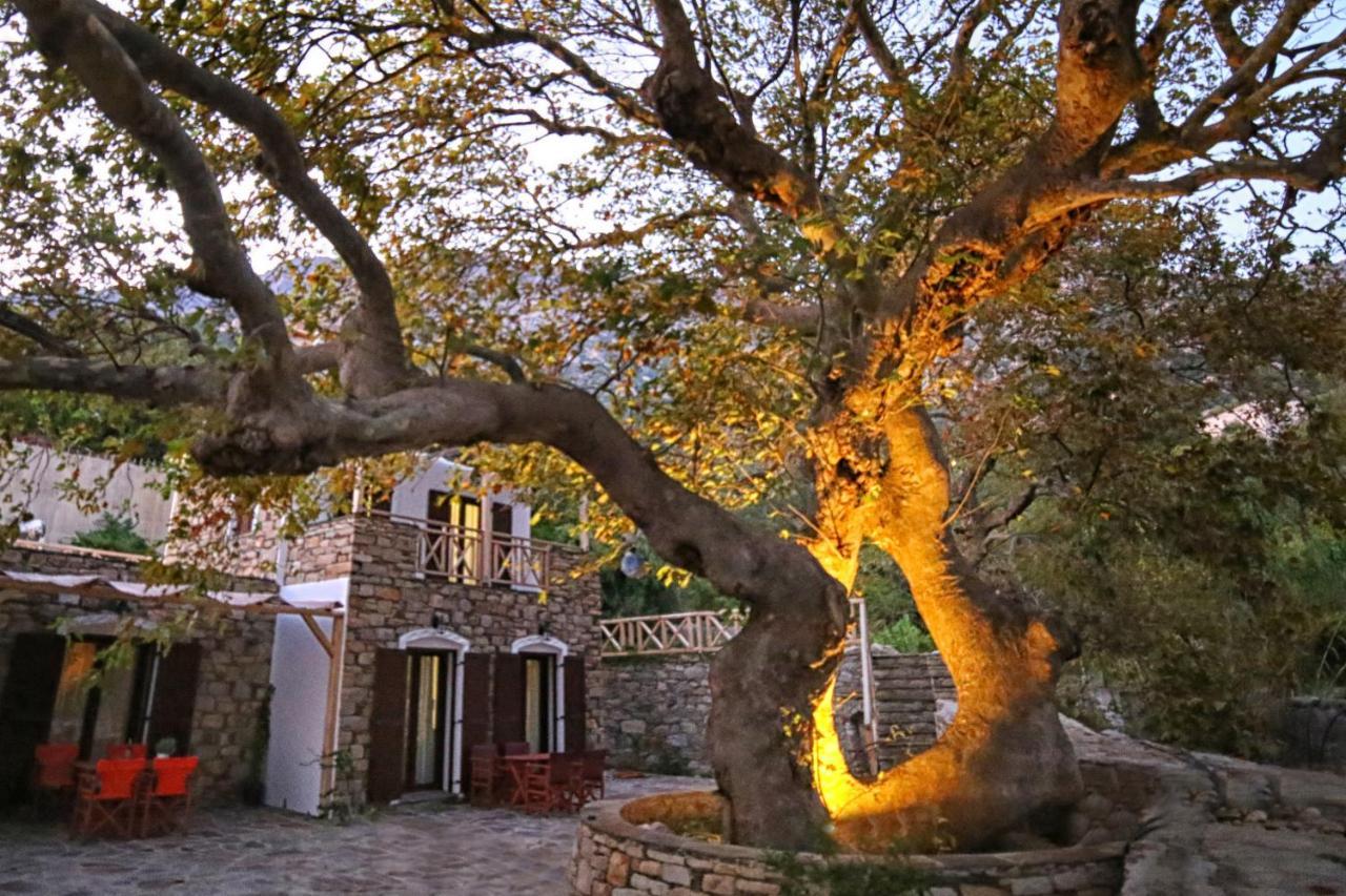 Ικαριων Γη Villa Manganitis Ngoại thất bức ảnh