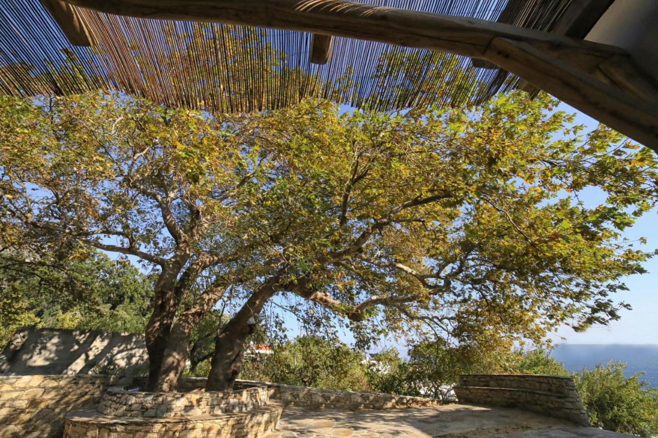 Ικαριων Γη Villa Manganitis Ngoại thất bức ảnh